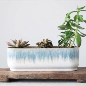 Home and Vine  Blue and White Ceramic Planter